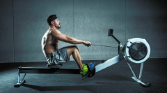 Rowing Body Exercise Machines Muscle Impact