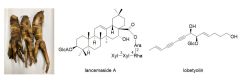 Codonopsis Lanceolata Compounds Effects Chemical Lancemaside Atsushi Sugiyama